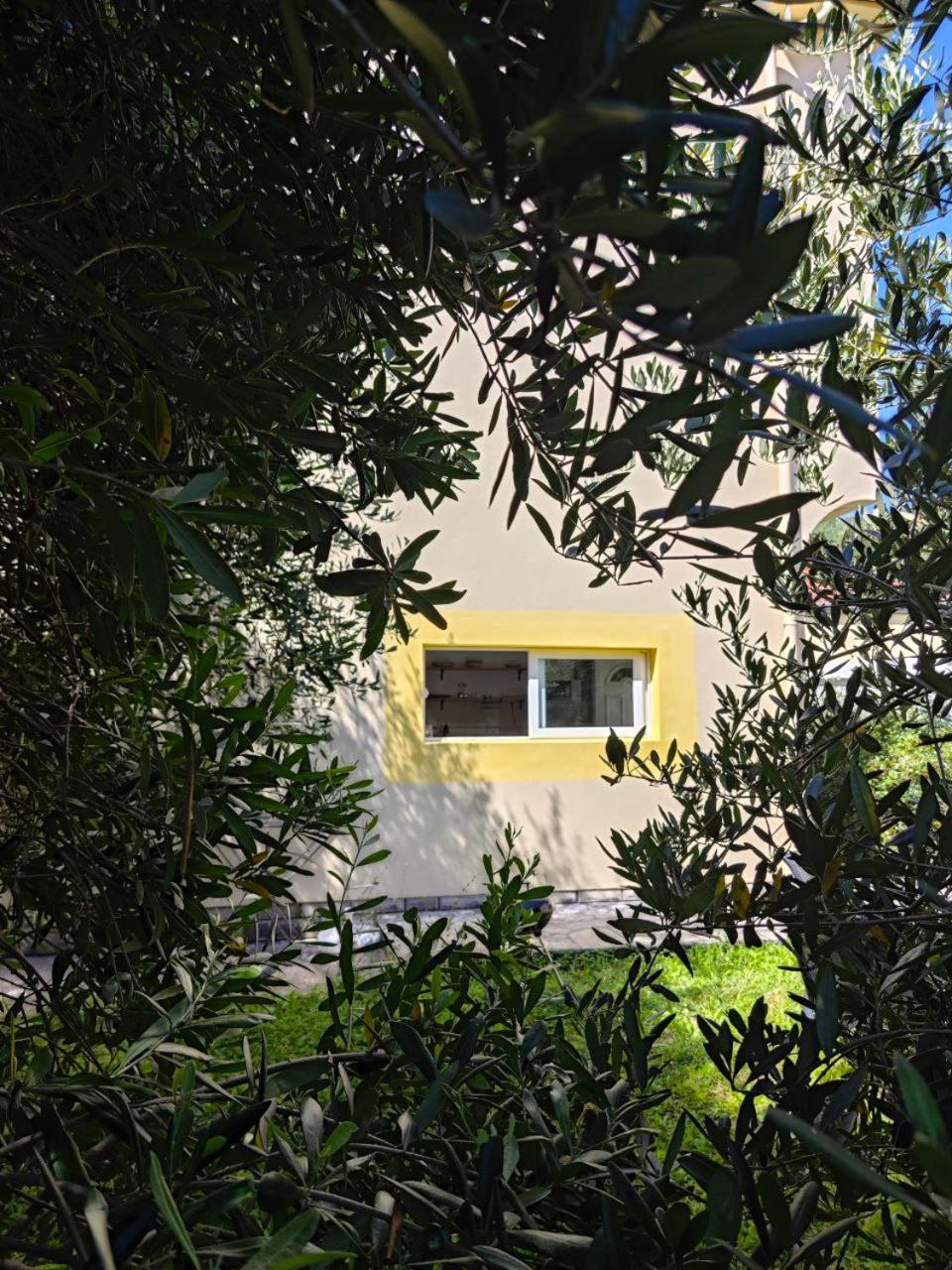 Apartmani Radovic Bijela Zewnętrze zdjęcie